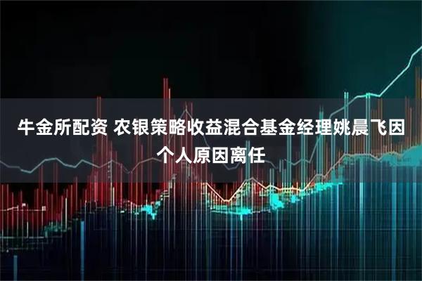 牛金所配资 农银策略收益混合基金经理姚晨飞因个人原因离任